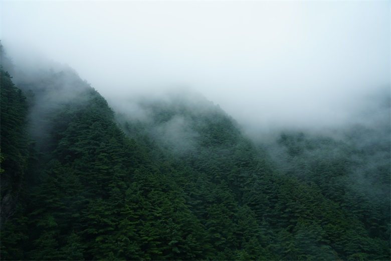 Garbo to the South of the Clouds- Yunnan